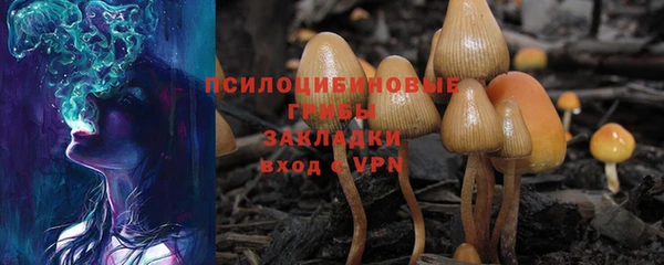 прущая мука Карталы
